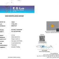 5.10 Ct. Yellow Sapphire from Ceylon (Sri Lanka) Pdf