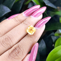 4.29 Ct. Yellow Sapphire from Ceylon (Sri Lanka) Life Style