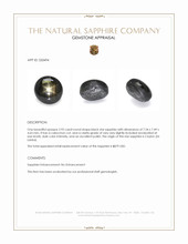 2.93 Ct. Black Star Sapphire from Ceylon (Sri Lanka) Appraisal
