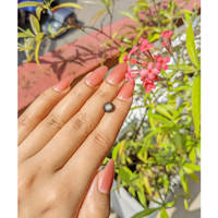 2.93 Ct. Black Star Sapphire from Ceylon (Sri Lanka) Life Style