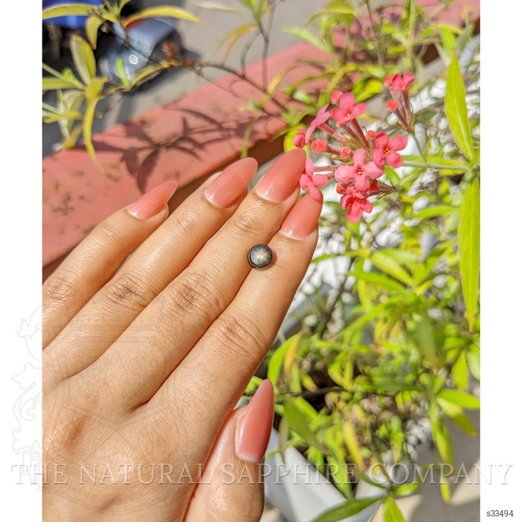 2.93 Ct. Black Star Sapphire from Ceylon (Sri Lanka)