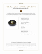 4.59 Ct. Black Star Sapphire from Ceylon (Sri Lanka) Scan Report