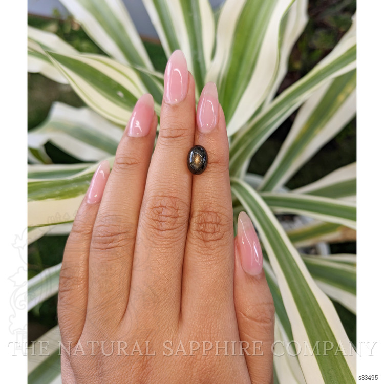 4.59 Ct. Black Star Sapphire from Ceylon (Sri Lanka)