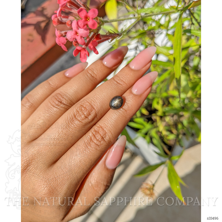 3.83 Ct. Black Star Sapphire from Ceylon (Sri Lanka)