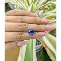 5.54 Ct. Blue Sapphire from Ceylon (Sri Lanka) Life Style