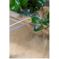 2.77 Ct. Yellow Sapphire from Ceylon (Sri Lanka) Life Style