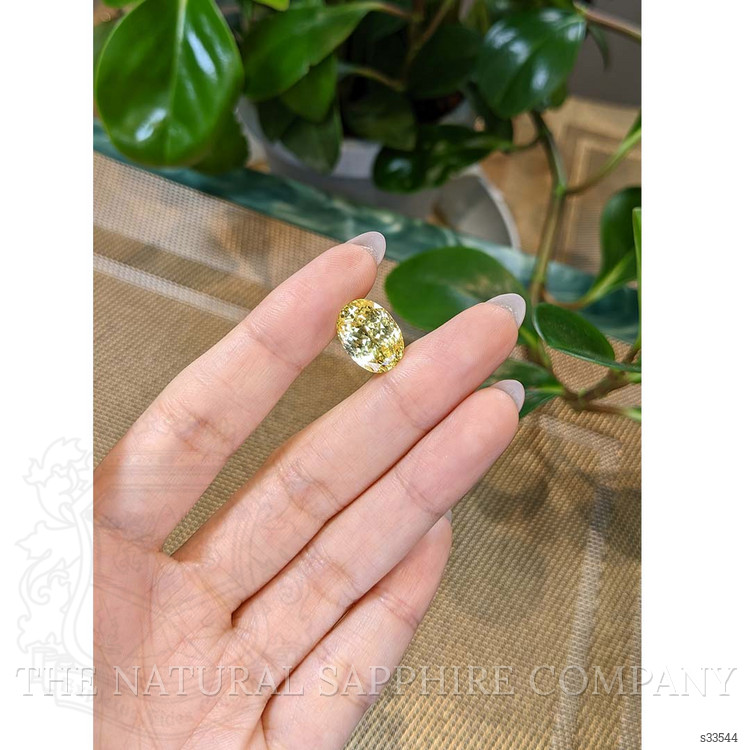 11.19 Ct. Yellow Sapphire from Ceylon (Sri Lanka)