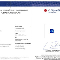 9.14 Ct. Blue Sapphire from Ceylon (Sri Lanka) Scan Report