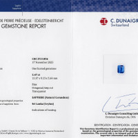 5.47 Ct. Blue Sapphire from Ceylon (Sri Lanka) Scan Report