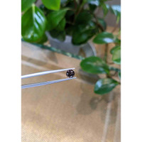 1.43 Ct. Brown Sapphire from Montana Life Style
