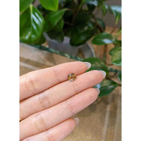 1.30 Ct. Bi Color Sapphire from Montana Life Style