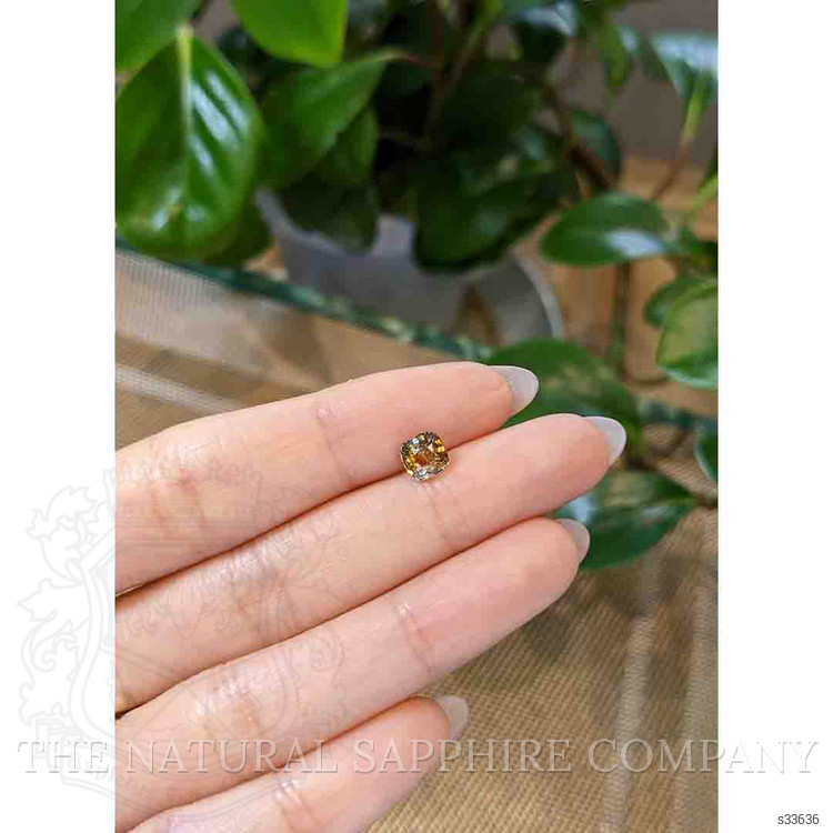 1.30 Ct. Bi Color Sapphire from Montana