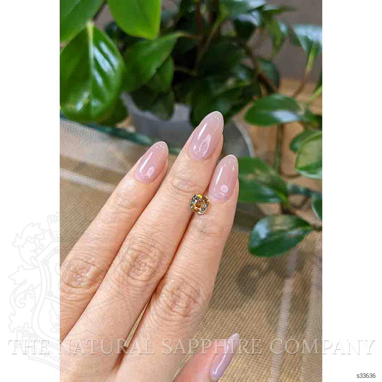 1.30 Ct. Bi Color Sapphire from Montana