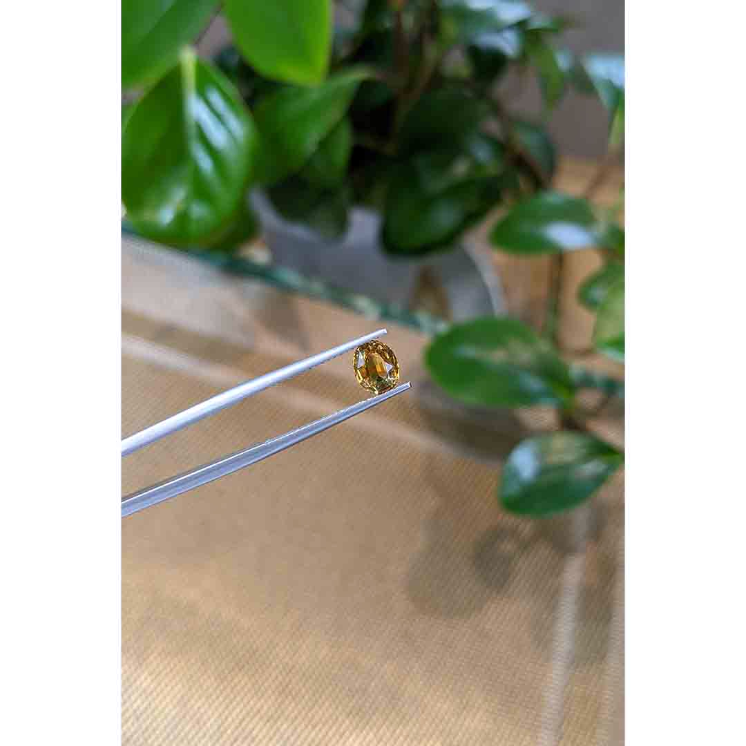 Loose Bi Color Sapphire - Oval 1.23 Ct. - #S33637 | The Natural