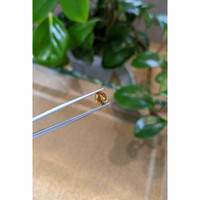 1.23 Ct. Bi Color / Parti Sapphire from Montana Life Style
