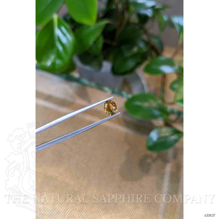1.23 Ct. Bi Color / Parti Sapphire from Montana