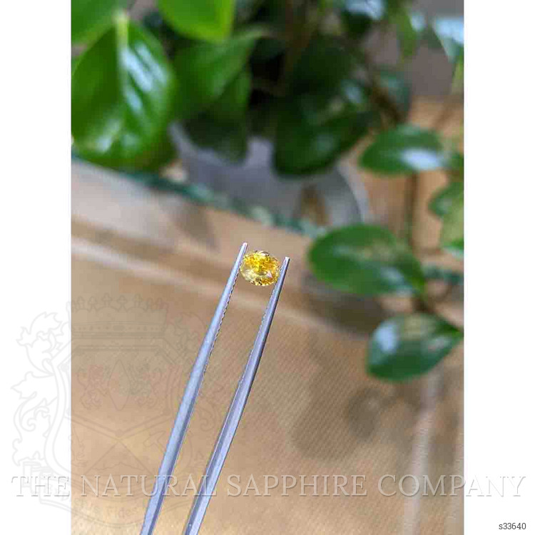 1.12 Ct. Yellow Sapphire from Montana
