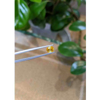 1.27 Ct. Bi Color Sapphire from Montana Life Style