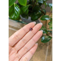 1.46 Ct. Bi Color Sapphire from Montana Life Style