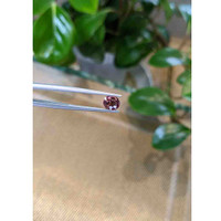 1.46 Ct. Bi Color Sapphire from Montana Life Style