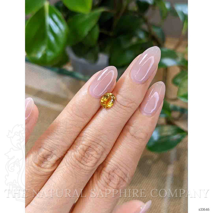 1.22 Ct. Bi Color Sapphire from Montana