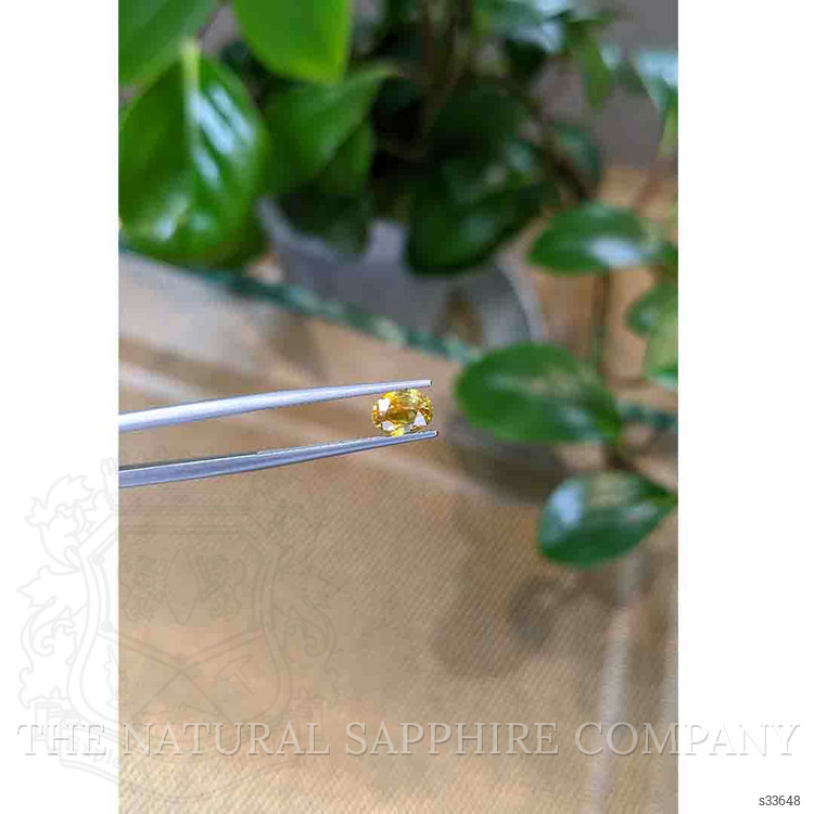 1.11 Ct. Bi Color Sapphire from Montana