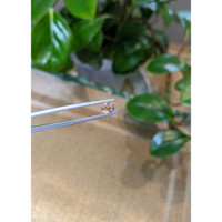 1.17 Ct. Bi Color Sapphire from Montana Life Style