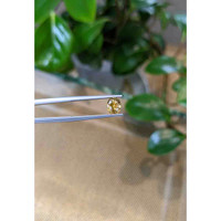 1.02 Ct. Bi Color Sapphire from Montana Life Style