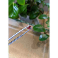 1.04 Ct. Bi Color Sapphire from Montana Life Style