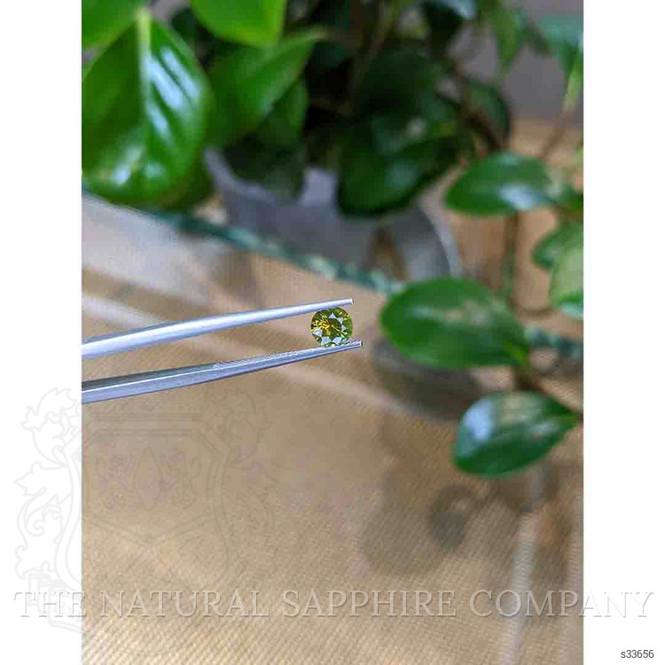 0.79 Ct. Yellowish Green Sapphire from Montana
