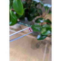 1.04 Ct. Bi Color Sapphire from Montana Life Style