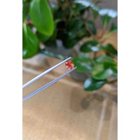 1.00 Ct. Bi Color Sapphire from Montana Life Style