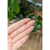 1.00 Ct. Bi Color Sapphire from Montana Life Style