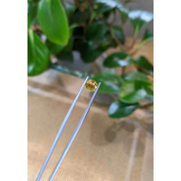 1.04 Ct. Bi Color Sapphire from Montana Life Style