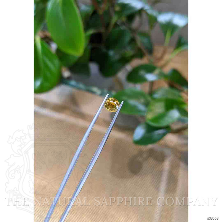1.04 Ct. Bi Color Sapphire from Montana
