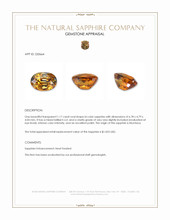 1.17 Ct. Bi Color Sapphire from Montana Appraisal