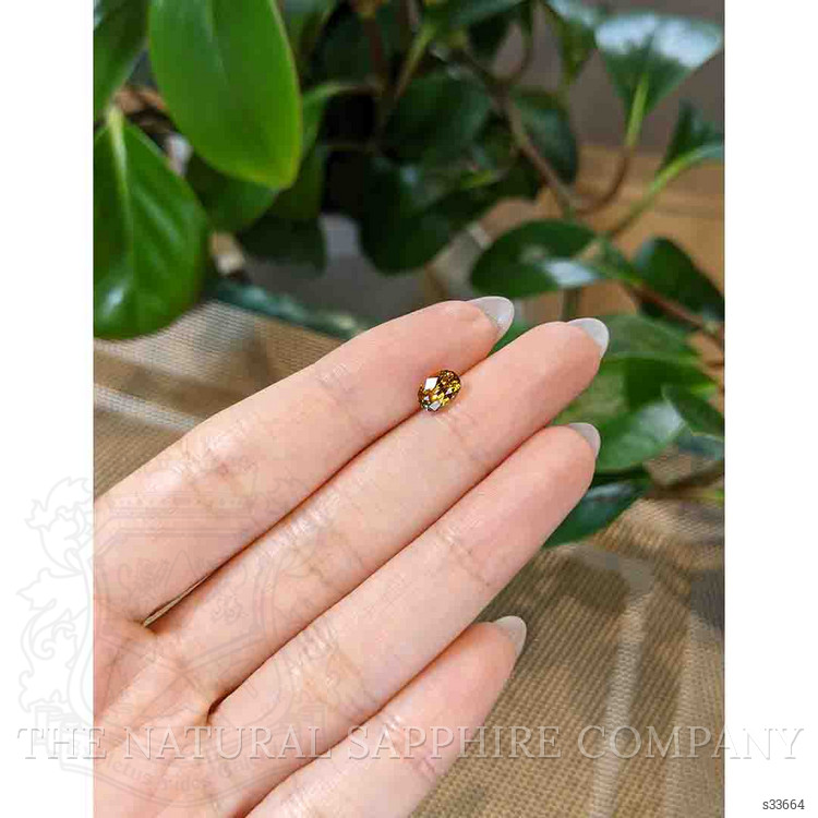 1.17 Ct. Bi Color Sapphire from Montana