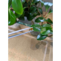 1.17 Ct. Bi Color Sapphire from Montana Life Style