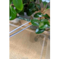 1.04 Ct. Bi Color Sapphire from Montana Life Style