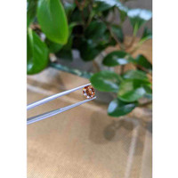 1.42 Ct. Bi Color Sapphire from Montana Life Style