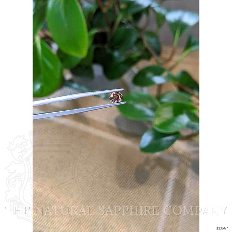 1.13 Ct. Bi Color Sapphire from Montana