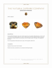 1.04 Ct. Bi Color Sapphire from Montana Appraisal