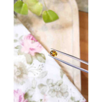 1.40 Ct. Bi Color Sapphire from Montana Life Style