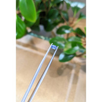 0.28 Ct. Blue Sapphire from Thailand Life Style