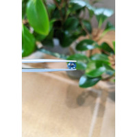 0.75 Ct. Blue Sapphire from Thailand Life Style