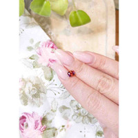 1.22 Ct. Bi Color Sapphire from Montana Life Style