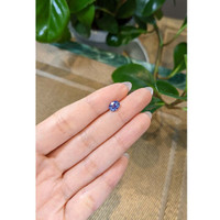 1.31 Ct. Bi Color Sapphire from Ceylon (Sri Lanka) Life Style