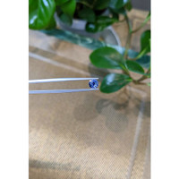 1.01 Ct. Blue Sapphire from Ceylon (Sri Lanka) Life Style