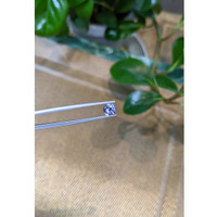 1.13 Ct. Blue Sapphire from Ceylon (Sri Lanka) Life Style