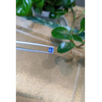 0.75 Ct. Blue Sapphire from Ceylon (Sri Lanka) Life Style